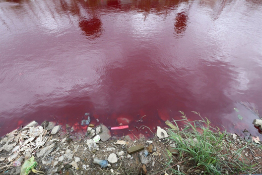 Blood river